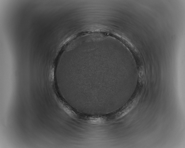 X0000116450454200912151303