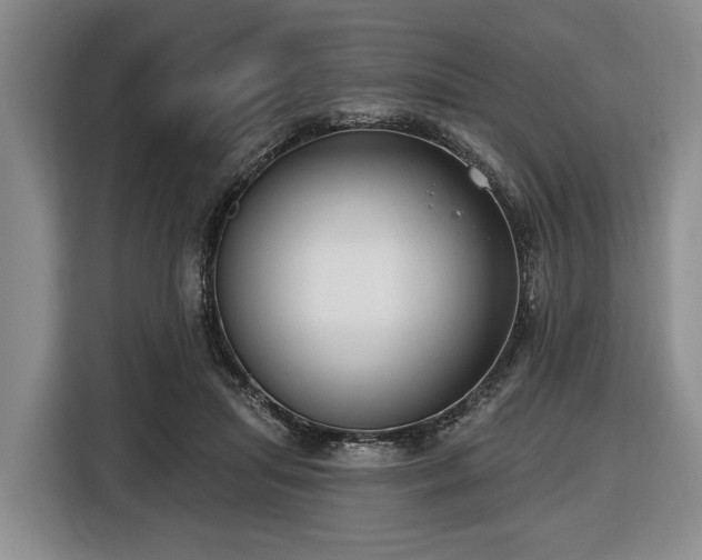 X0000116450455200912151303