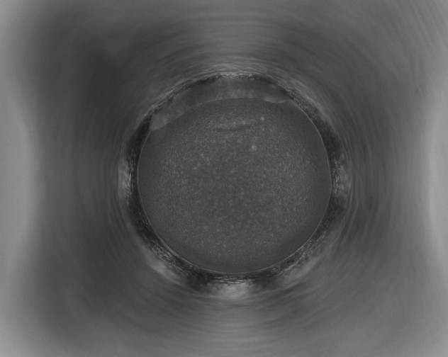 X0000116450456200912151303