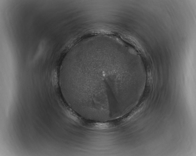 X0000116450457200912151303