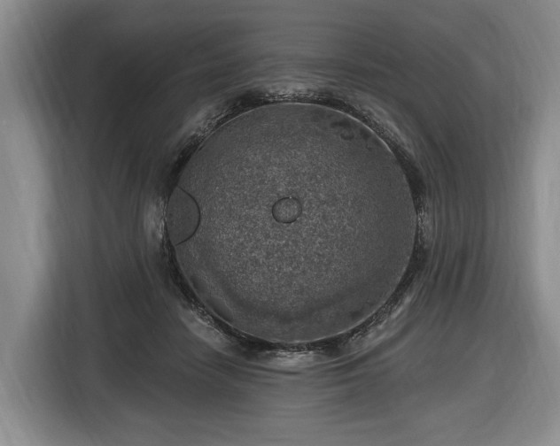X0000116450458200912151303