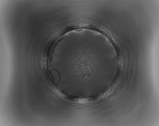 X0000116450462200912151303