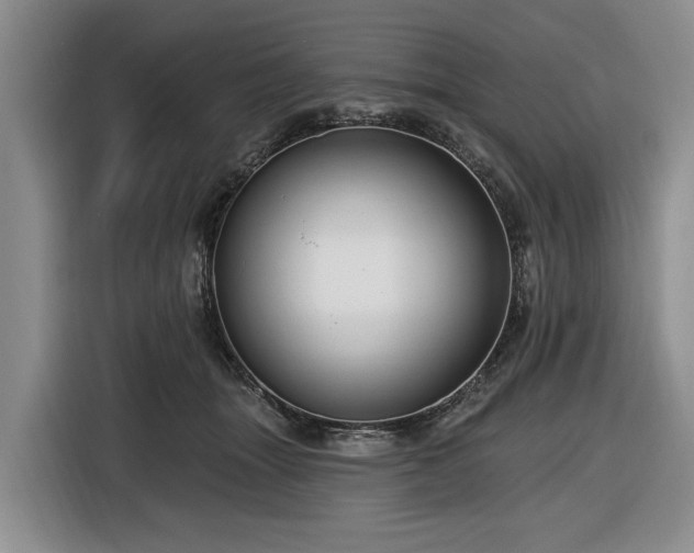 X0000116450463200912151303