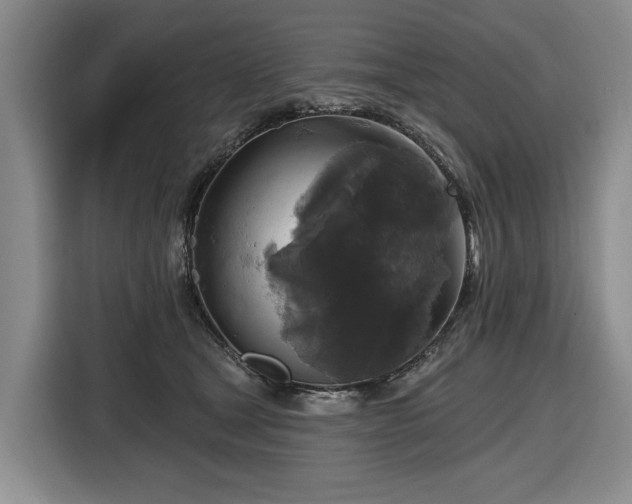 X0000116450465200912151303