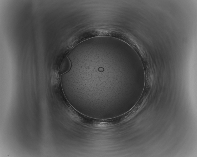 X0000116450467200912151303