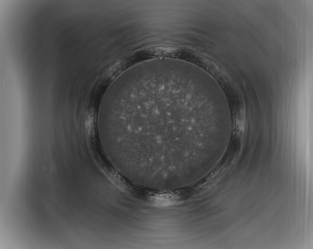 X0000116450468200912151303