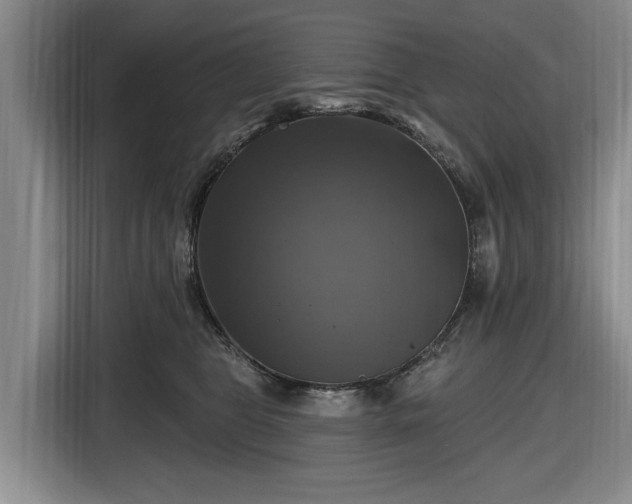 X0000116450469200912151303