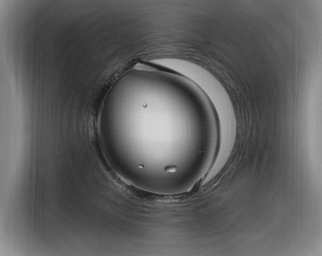 X0000116450470200912151303
