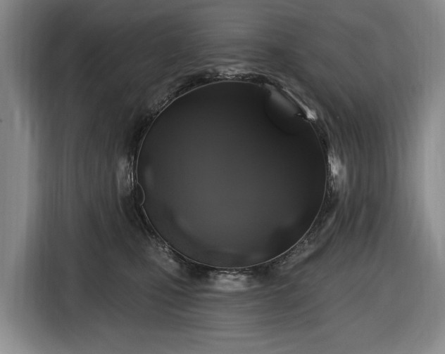 X0000116450471200912151303