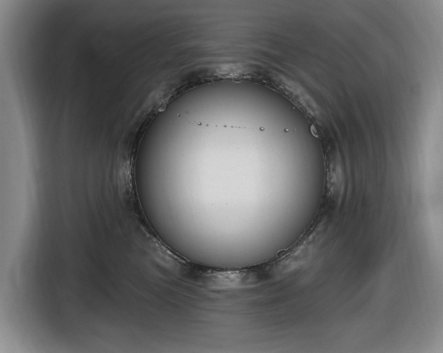 X0000116450473200912151304