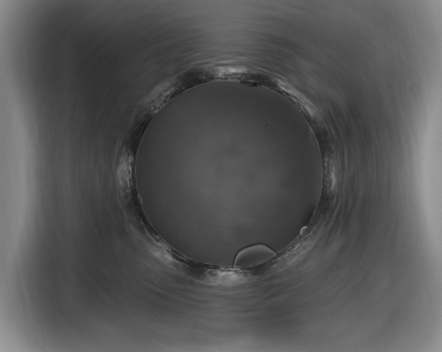 X0000116450475200912151304