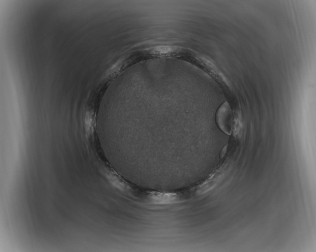 X0000116450476200912151304
