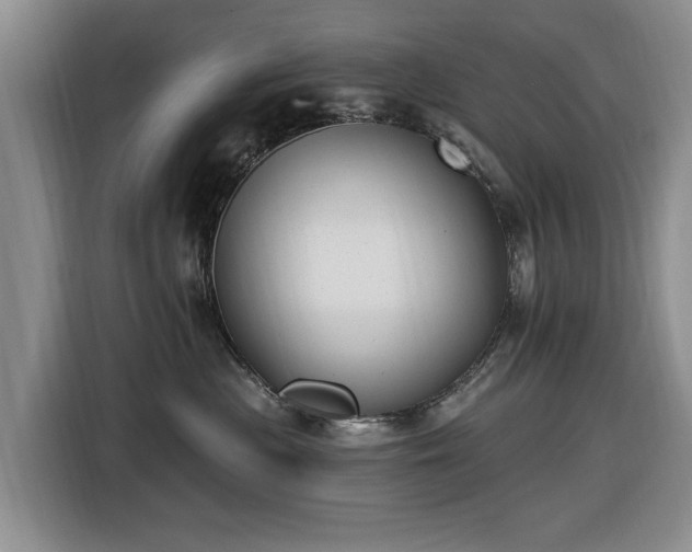 X0000116450477200912151304