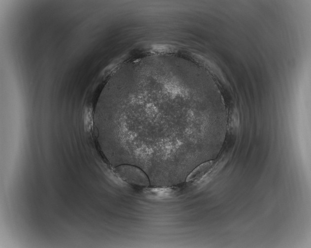 X0000116450478200912151304
