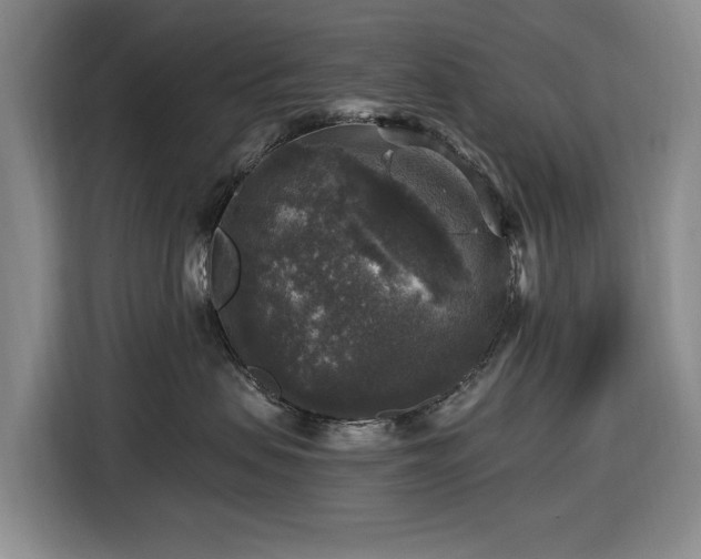 X0000116450479200912151304