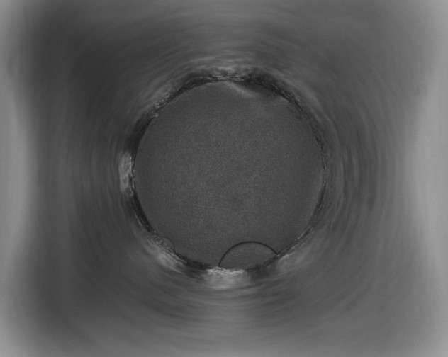 X0000116450480200912151304
