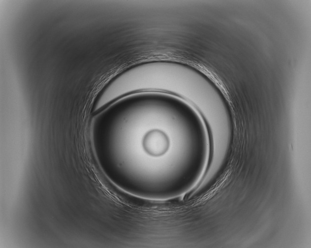 X0000116450481200912151303