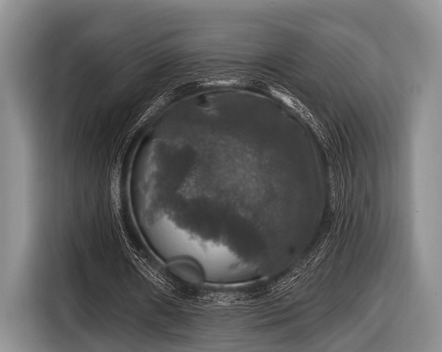 X0000116450482200912151303