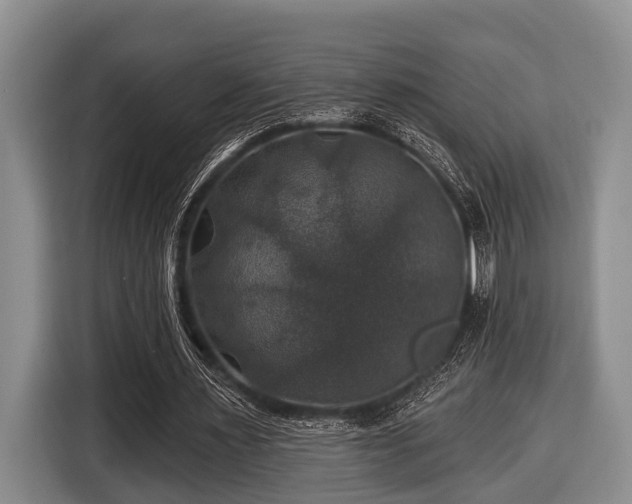 X0000116450483200912151303