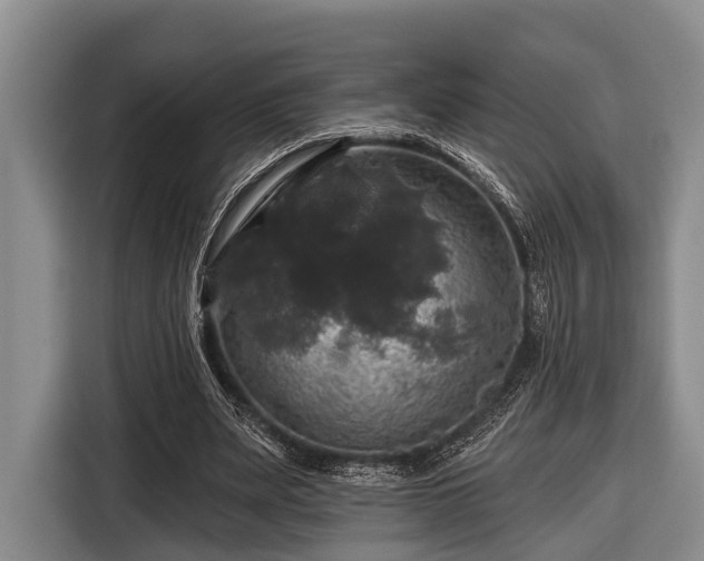 X0000116450487200912151303