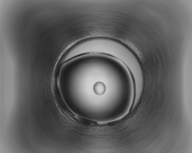 X0000116450488200912151303