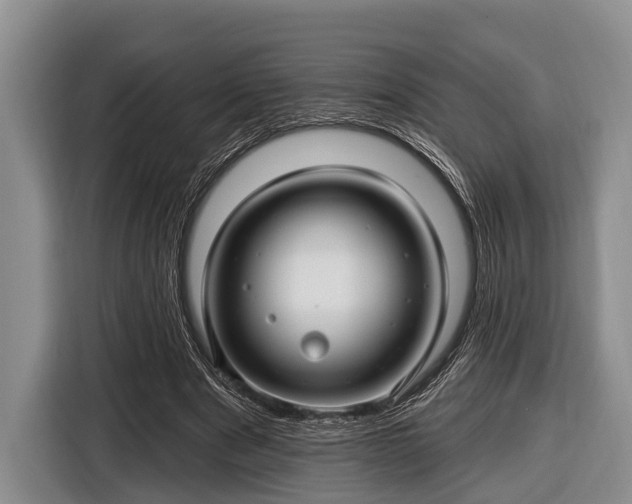 X0000116450489200912151303