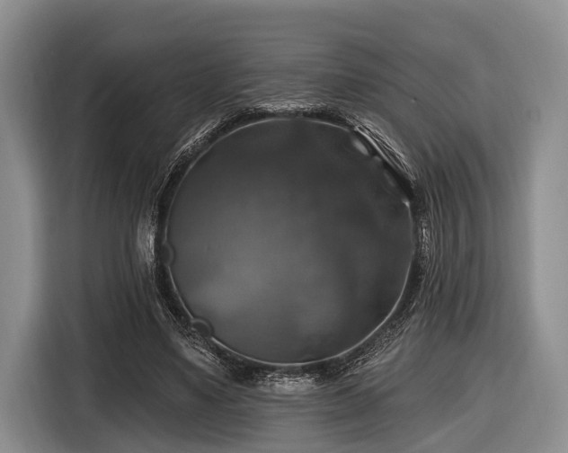 X0000116450491200912151303