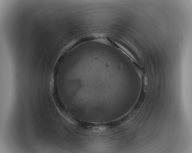 X0000116450492200912151303