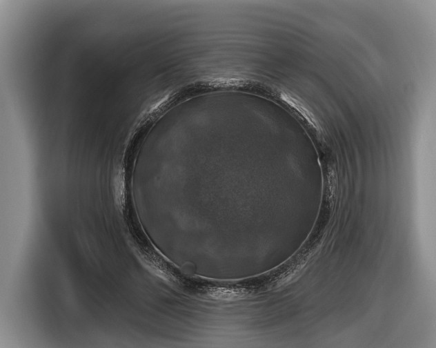 X0000116450494200912151303
