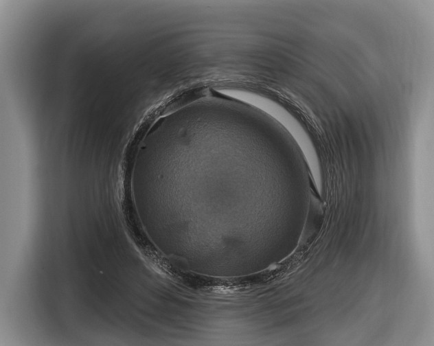 X0000116450496200912151303