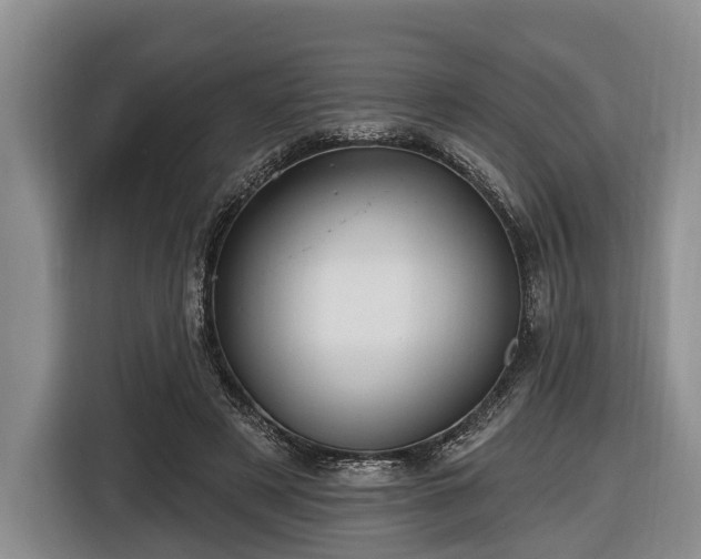 X0000116450497200912151303