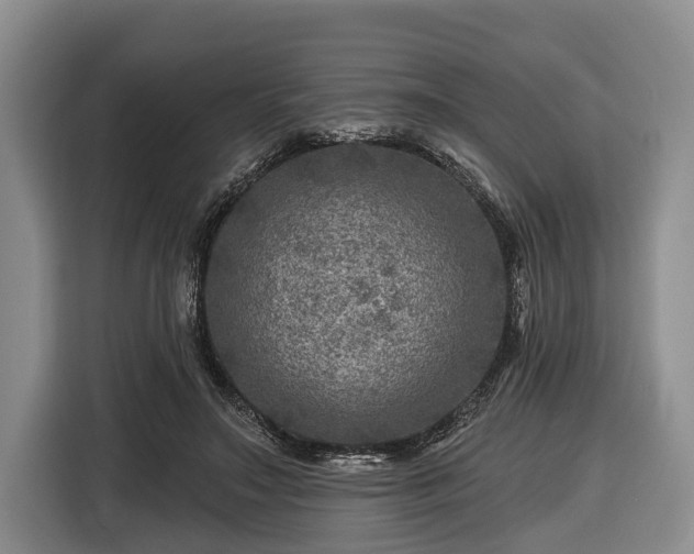 X0000116450499200912151303