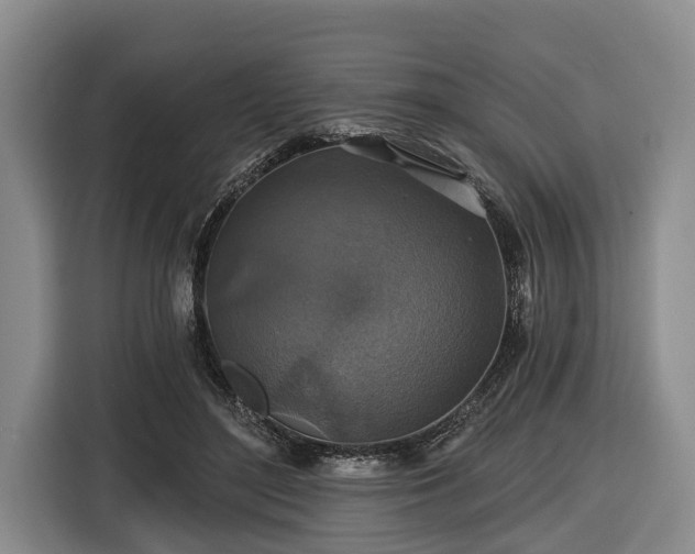 X0000116450500200912151303