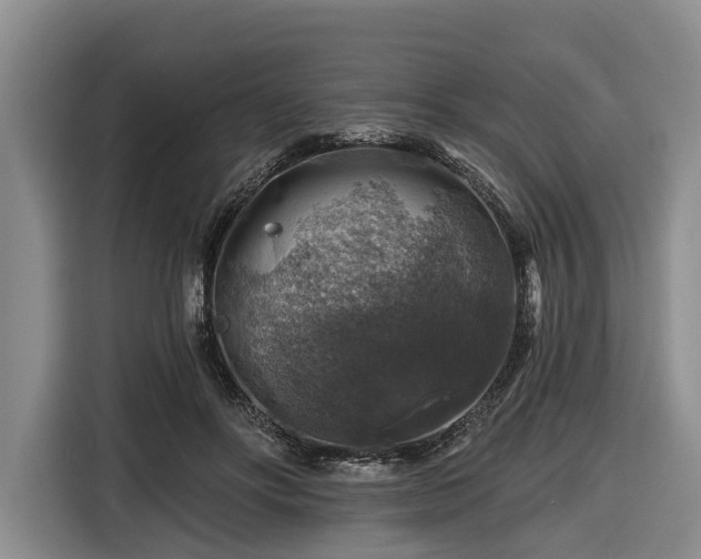 X0000116450502200912151303