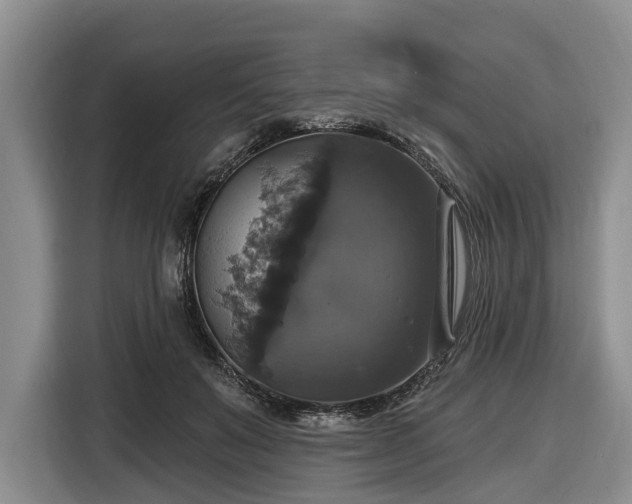 X0000116450503200912151303