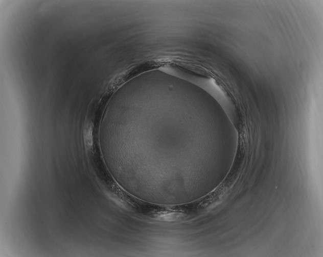 X0000116450504200912151303