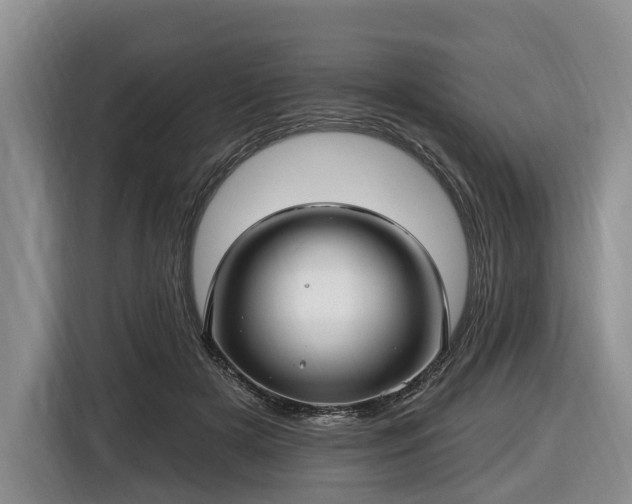X0000116450505200912151303