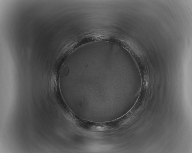 X0000116450506200912151303