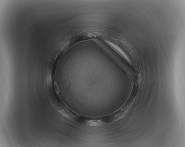 X0000116450508200912151303