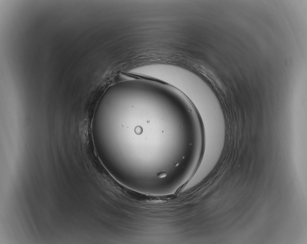X0000116450509200912151303