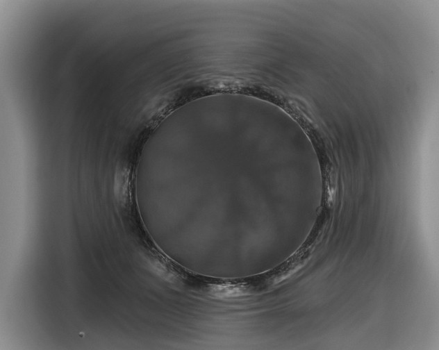 X0000116450511200912151303