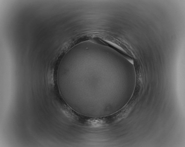 X0000116450512200912151303