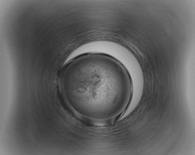 X0000116450513200912151303