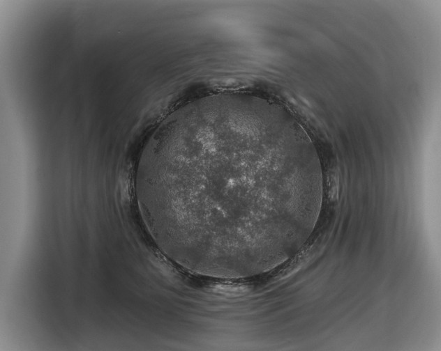 X0000116450515200912151303