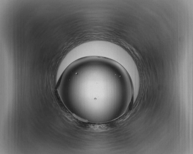 X0000116450517200912151303