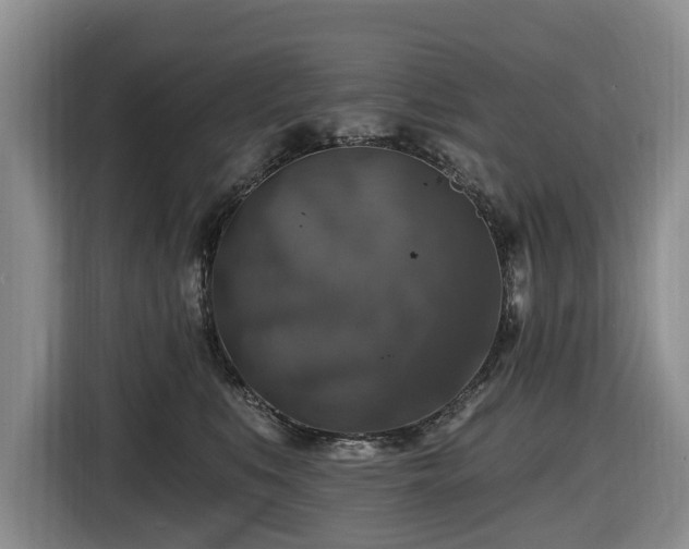 X0000116450519200912151302