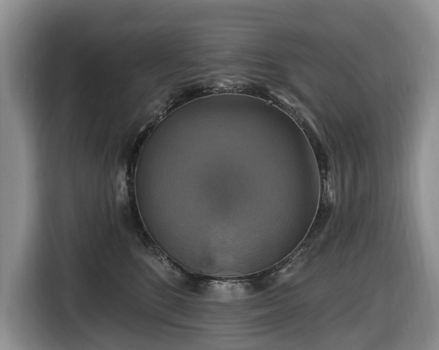 X0000116450520200912151302
