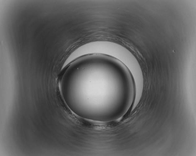 X0000116450521200912151302