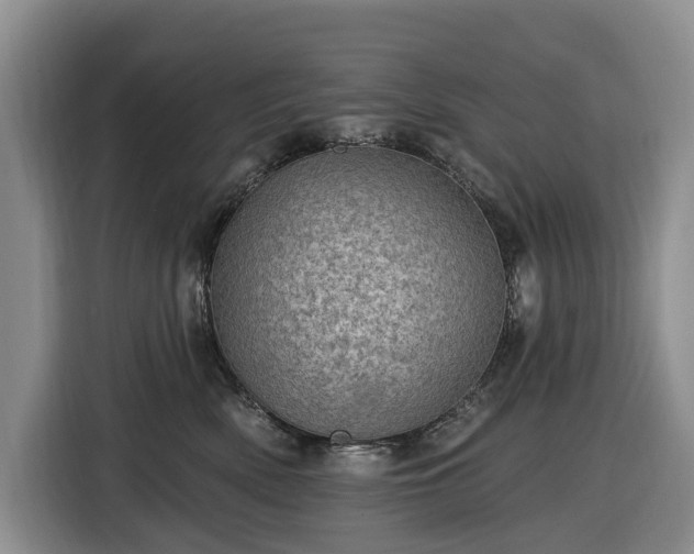 X0000116450522200912151302