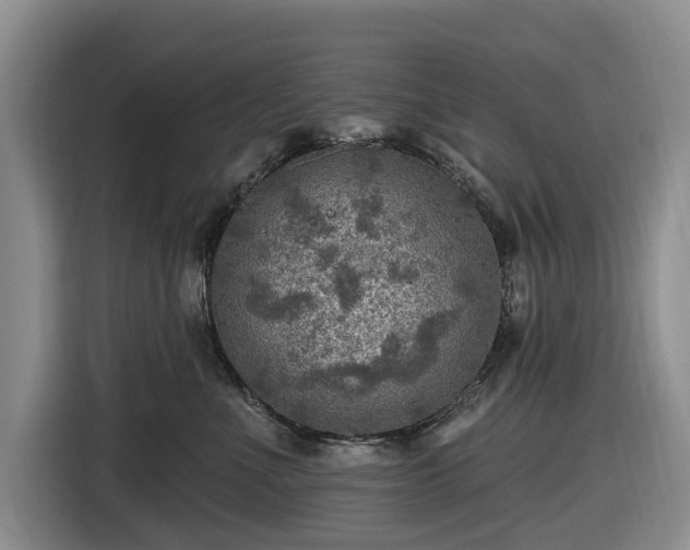 X0000116450523200912151302